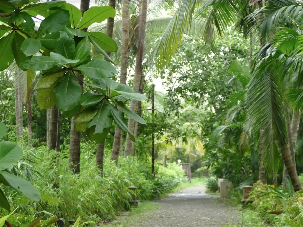 Private driveway entrance of Mango Beach Wadi villa